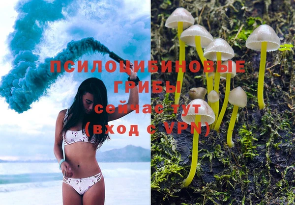 молекула духа Верея
