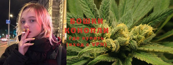 PSILOCYBIN Верхний Тагил