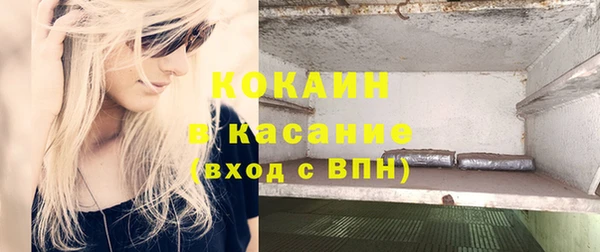 PSILOCYBIN Верхний Тагил
