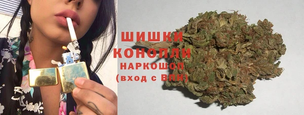 PSILOCYBIN Верхний Тагил