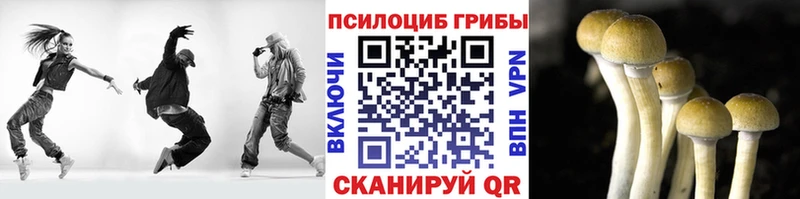где купить наркоту  Навашино  Псилоцибиновые грибы Magic Shrooms 