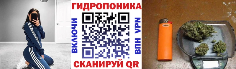 Канабис VHQ  купить наркоту  Навашино 